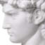 David Bust