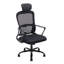 Brayden Studio Mesh Office Chair with Headrest-691154556-691154558