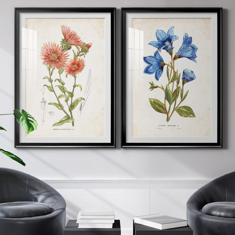 " Botanical I " 2 - Pieces, White, Black Framed Paper, 36.5" H x 26.5" W x 1" D