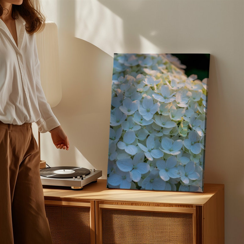 Toile, composition en gros plan de délicates fleurs d'hortensia blanches denses emballées ensemble mettant en vedette leur douce toile arrondie