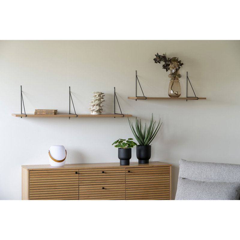 Anca 28cm Pelia Plant