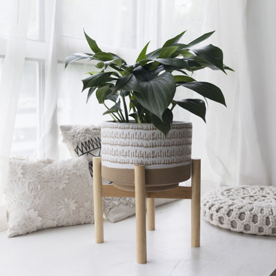 Tierney Pot Planter