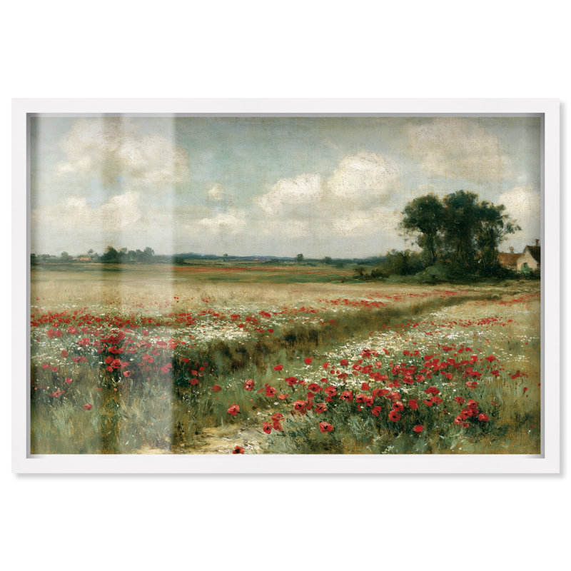 «Rose Field I Shadowbox» par Cabezas, H 25 po x l 37 po, Cadre blanc