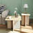 Coffee Tables for Living Room: End Tables Living Room Set of 2 For Modern,Small Coffee Tables for Small Spaces,Nesting Side Tables for Wood-353438500