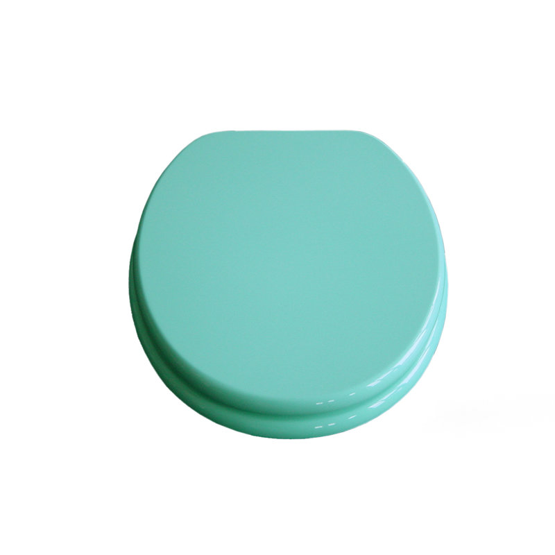 Alma Elongated Toilet Seat, Turquoise