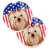 Yorkshire Terrier Yorkie sélectionné