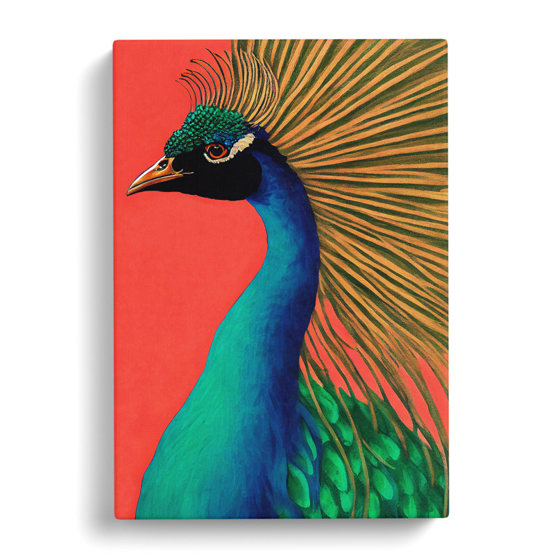 Attractive Peacock - Wrapped Canvas, 50cm H x 35cm W x 3cm D