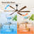 6 Blade Solid Wood Smart Ceiling Fan With Quiet Reversible Dc Motor, Dimmable Led Light, Remote & App Control-1930628580-1930628582-1930628576