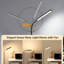 165cm Powder Coated LED Task Floor Lamp