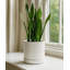Ceramic Planter-1334710