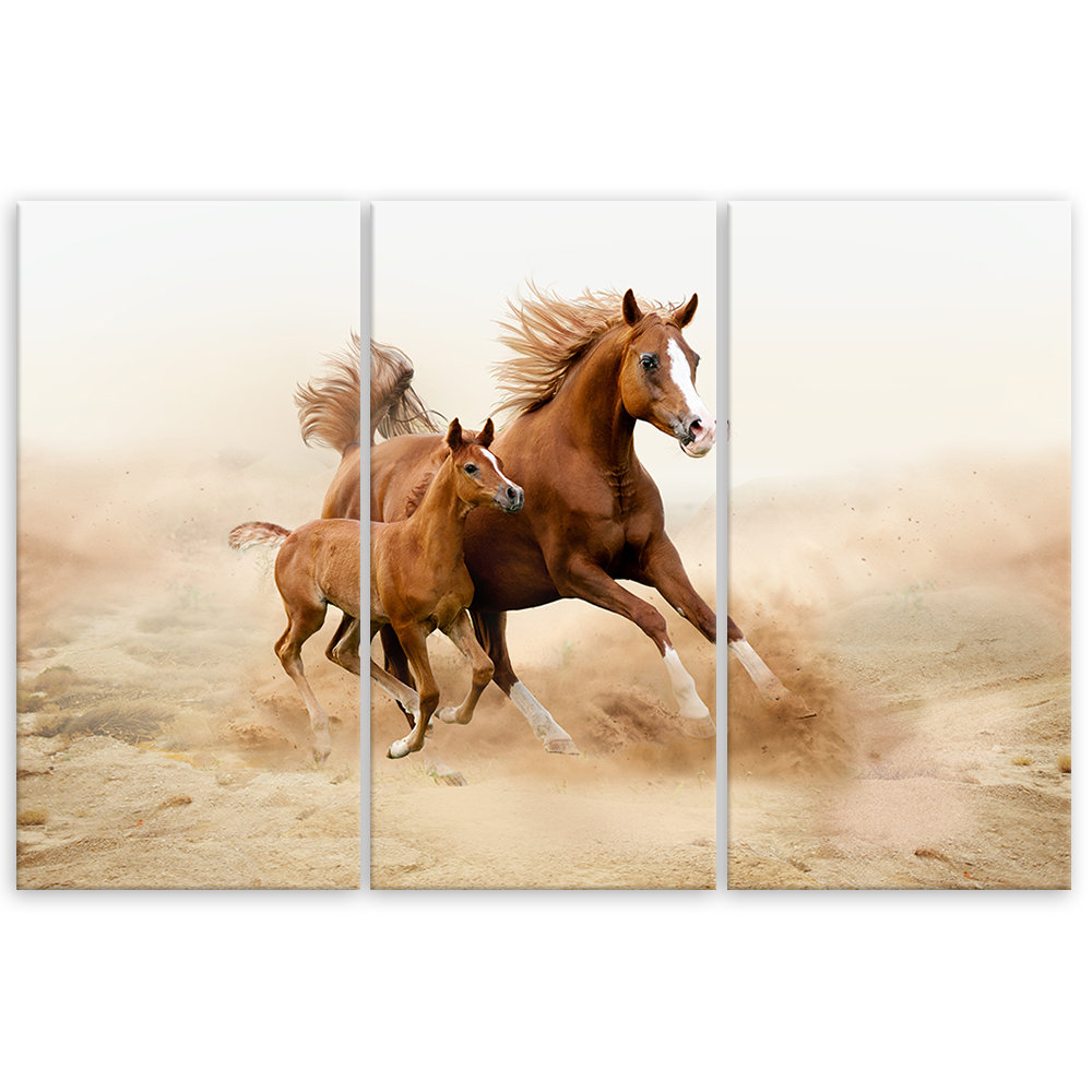 Leinwandbild Bay Horse Galop Nature