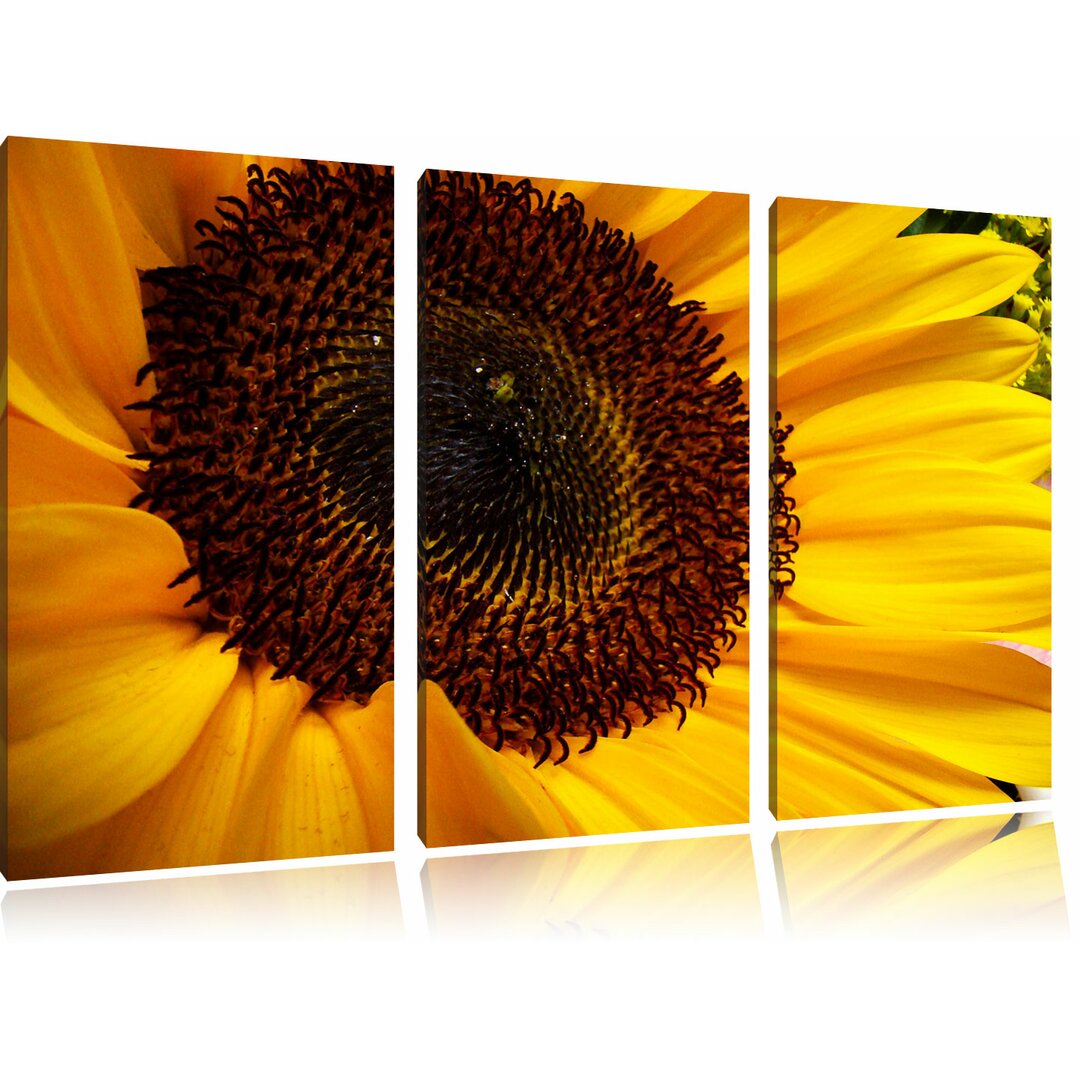 3-tlg. Leinwandbilder-Set „Große Sonnenblume“, Fotodruck