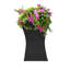 Bassin pour oiseaux-905154283