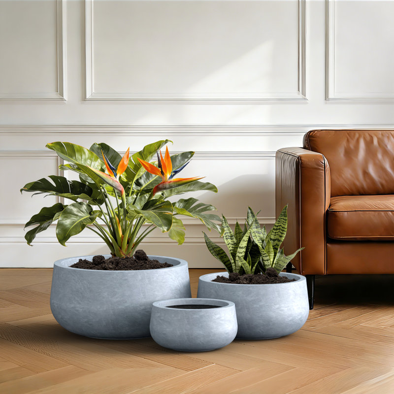 Ensemble de pots à fleurs en composite 3 pièces Lindlot, Coment
