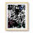 Graffiti Scribe I -Framed Print-942913635