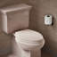 Lustra with Quick-Release Hinges Toilet Seat-342726767-342726762