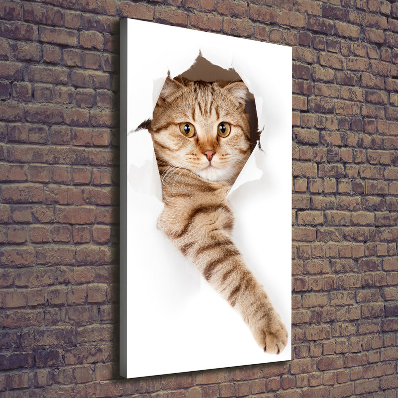 Cat - Wrapped Canvas Print, 140cm H x 70cm W