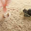 Shag Area Rug-118262144