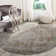 Thanh Performance Oriental Rug