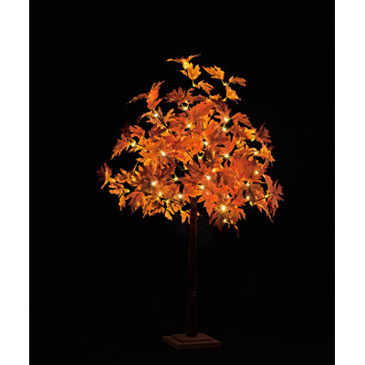 Lighted Tree
