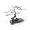 Windswept Sculpture