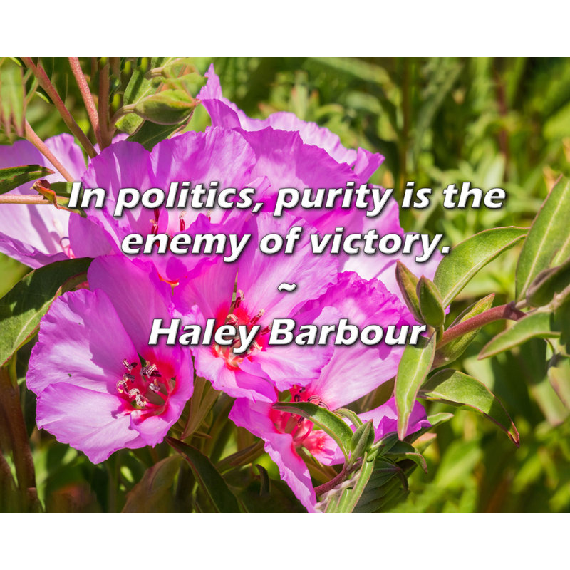 Artsy Quote "In politics, purity is the enemy of victory." By Haley Barbour Gallery Wrapped Canvas, 28" H x 40" W