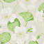 Nasturtium Wallpaper-49817517