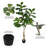 Artificial Potted Fiddle Tree.-27787967