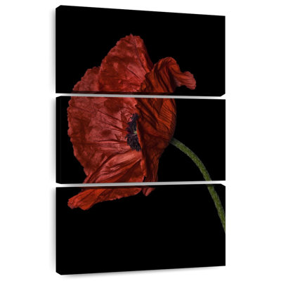 Harnek Curious Collections Poppy Red I