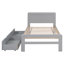 Structure de lit plateforme moderne avec 2 tiroirs-1281126554