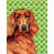 Setter irlandais (roux) sélectionné