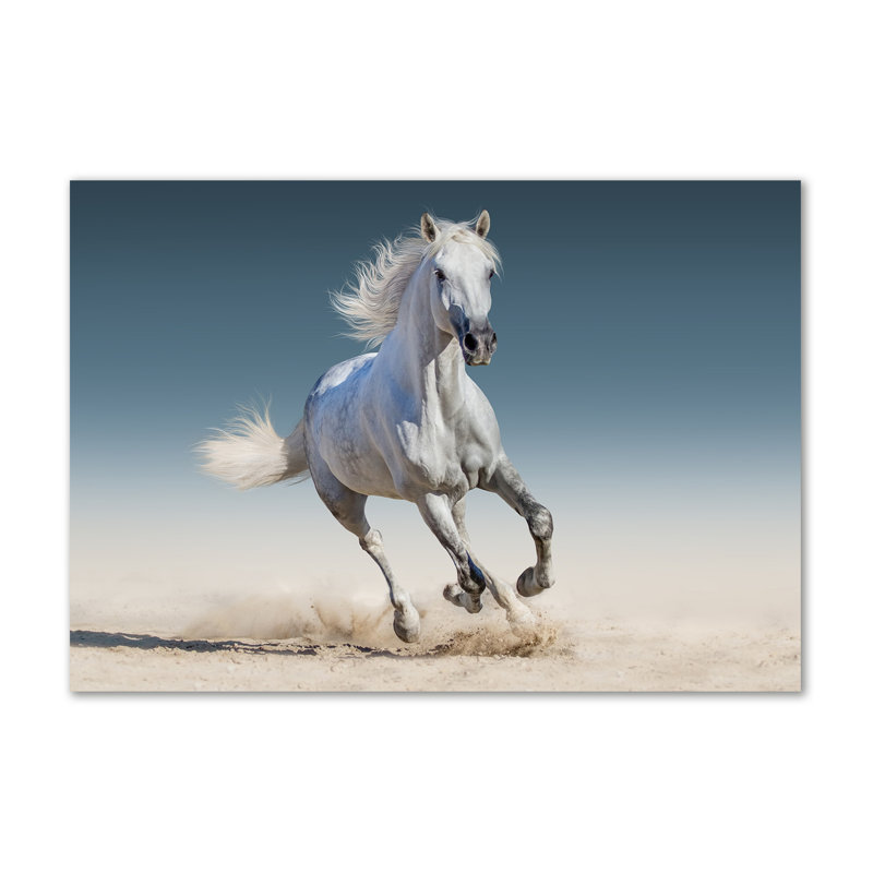 White Horse In Gallop - Wrapped Canvas Print