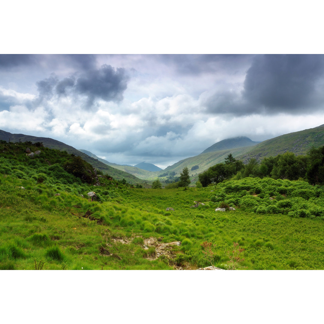 Irische Landschaft von Mammuth - Druck