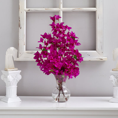 Aquavia Bougainvillea Arrangement in Vase