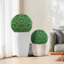 Ensemble de 2 topiaires artificiels en buis-793060646