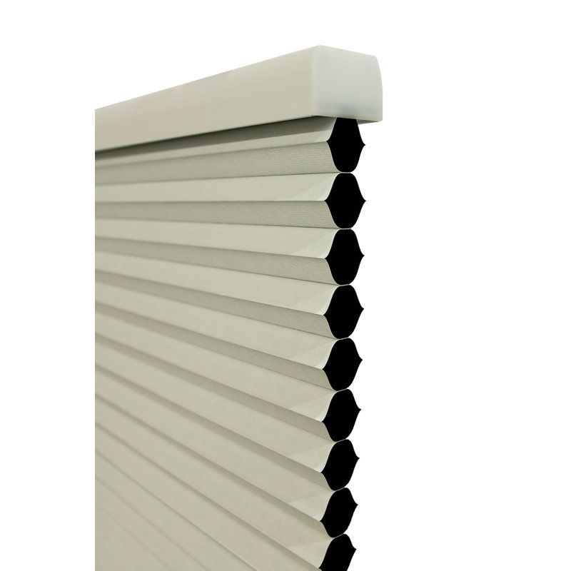 Store cellulaire occultant coquillage, l 19,25 po x L 78 po