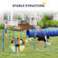 70cm H Plastic Dog Agility