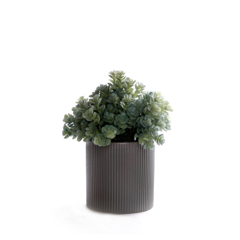 Faux Succulent Plant in Ceramic Planter