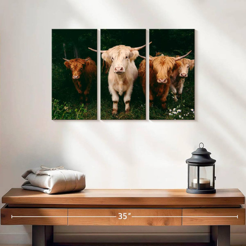 Light Haired Highland Cows, 20" H x 33" W
