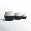 Avyanna Ceramic Pot Planter