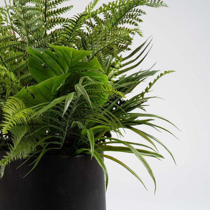 Antavia Faux Foliage Plant in Cement Pot, Black
