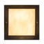 Plafonnier encastré 11,5 po 2 lumières Franklin