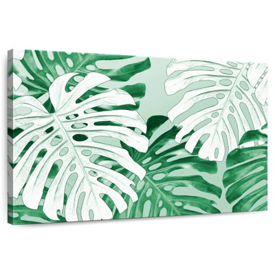 Monstera de la jungle tropicale Harnek