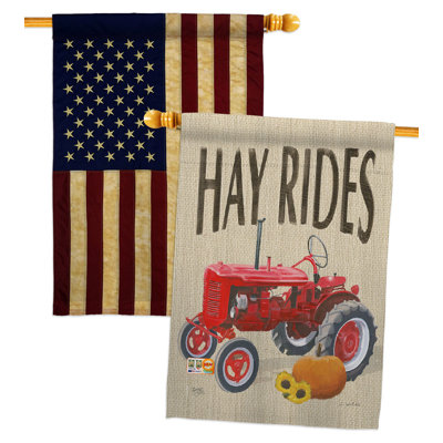Double Sided 40'' H x 28'' W Polyester House Flag