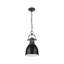 Luminaire suspendu 1 lumière avec chaîne Cajoux-107150052-107150053-107150057