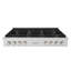 ZLINE 48 in. Paramount Gas Rangetop with 8 Brass Burners and Porcelain Cooktop