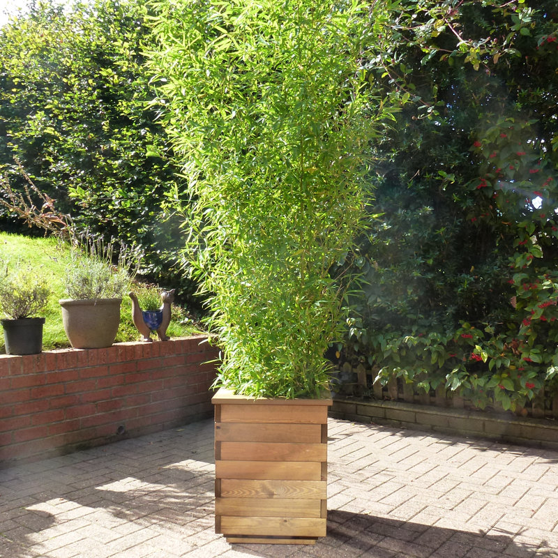 Latimer Handmade Wood Planter Box