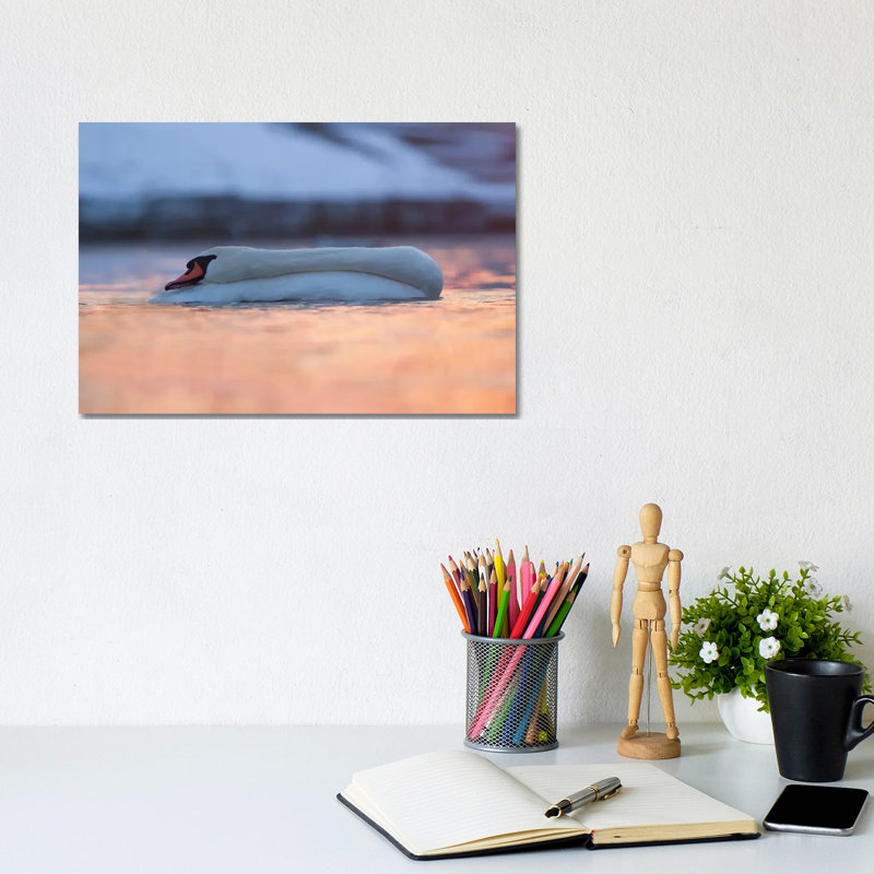 Swan by Mateusz Piesiak - Wrapped Canvas Gallery-Wrapped Canvas Giclée, 20.32 cm H x 30.48 cm W