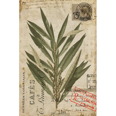 Rétro verdure de la nature I