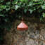 Amelie Hanging-1424810035